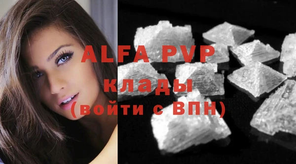 дживик Белокуриха
