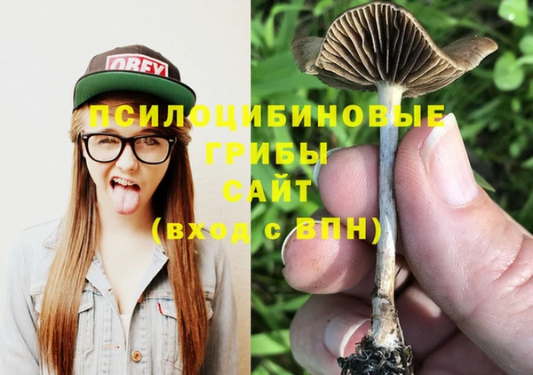 стаф Балабаново