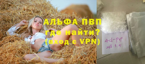 дживик Белокуриха
