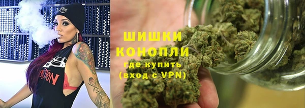 дживик Белокуриха