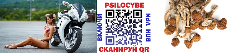 Галлюциногенные грибы мухоморы  купить закладку  Светлый 